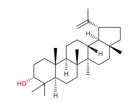 3-epilupeol